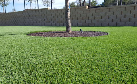 Landscaping Tree Well