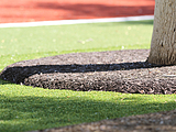 Tree well made of bonded rubber mulch